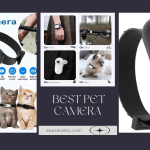 best pet camera cat camera