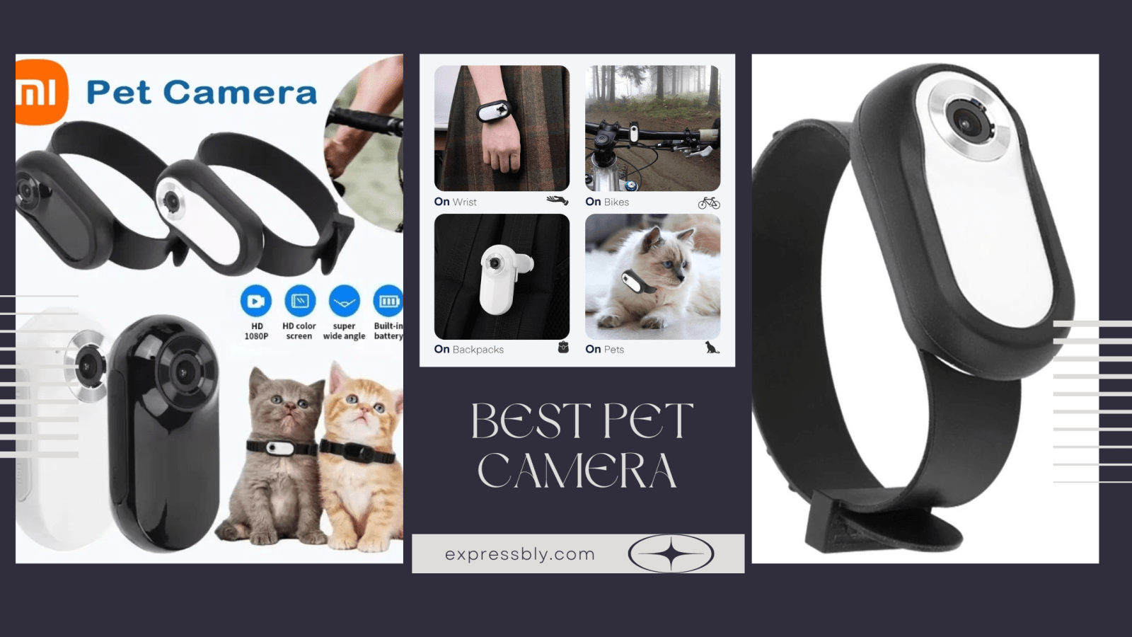 best pet camera cat camera