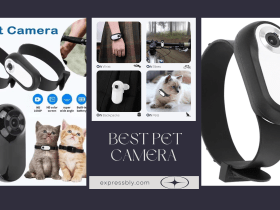 best pet camera cat camera