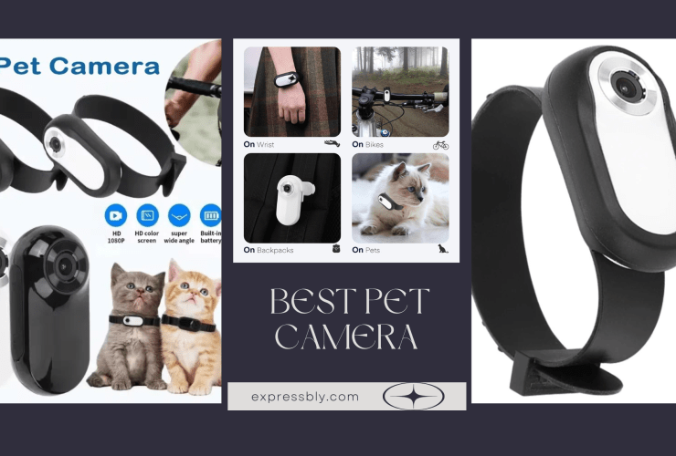 best pet camera cat camera