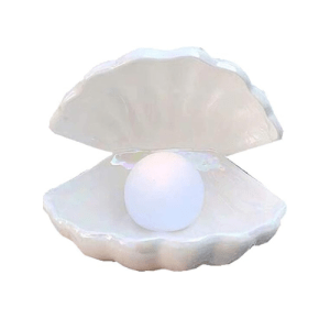 Shell Pearl LED Night Light
Cool Amazon Products