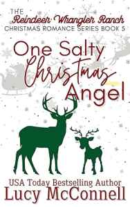 One Salty Christmas Angel_ A Christmas Romance Novel Christmas Books