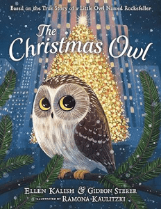 The Christmas Owl by Gideon Sterer and Ellen Kalish Kids Christmas Books