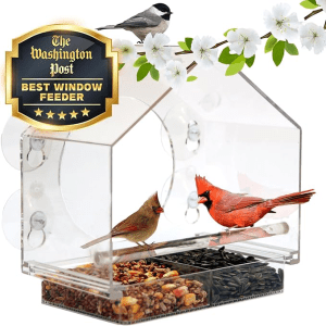 Transparent Window Bird Feeder Christmas gifts for women