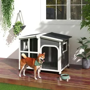 Best Luxury Dog House