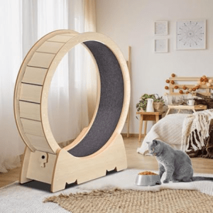 Cat Exercise Wheel 43.3 Inch high quality cat toys