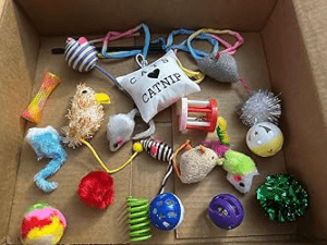 Cat Toys Variety Pack high quality cat toys