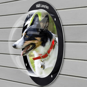 H&B Luxuries Durable Acrylic Dog Window best luxury dog products