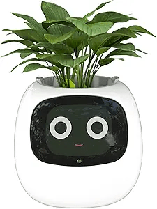 Masdio Smart Flowerpot_ A Fusion of AI and Decor best gifts for men on valentines