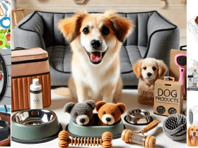 best luxury dog products