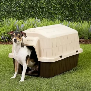 best rated dog house