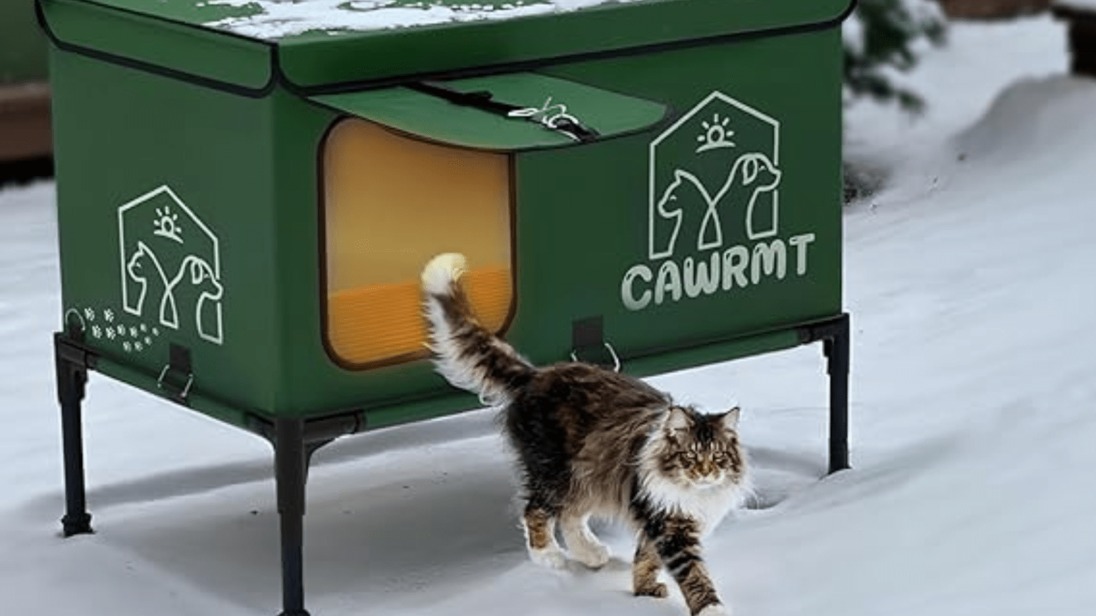 luxury outdoor cat house