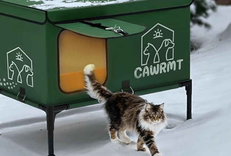 luxury outdoor cat house